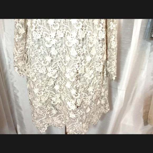 Polo Ralph Lauren Lace Long Sleeve Wedding Dress, Gray,Bell Sleeve,Knee Lngth,16 - Picture 6 of 16